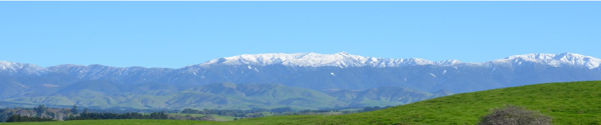 Norsewood to Takapau Fun Challenge 2020